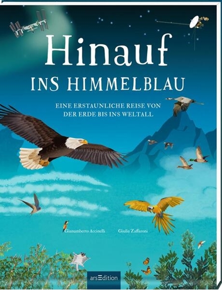 Bild von Accinelli, Gianumberto: Hinauf ins Himmelblau